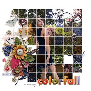 2019 Colorfall Alex