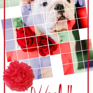 Woof!!