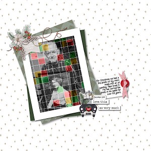 MOC8-5 Grid Photo