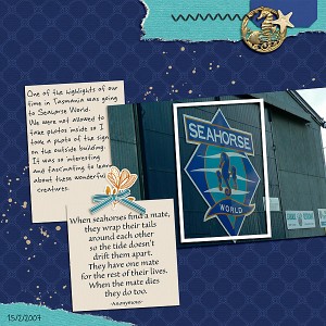 Sahin Recipe January_Seahorses
