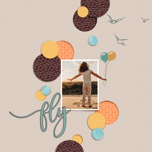 Fly