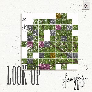 MOC 08 #day5 - grid photo (look up)