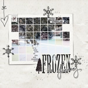 Frozen January