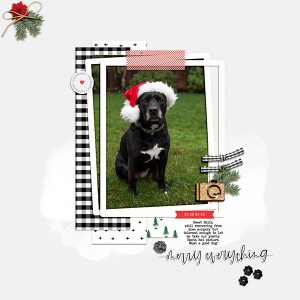 Bella In Santa Hat