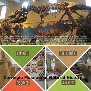Carnegie Museum of Natural  History