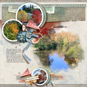 Washington Color