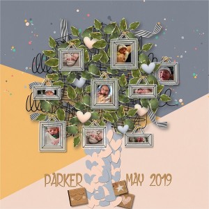 DAY 8: BUILD YOUR OWN TREE