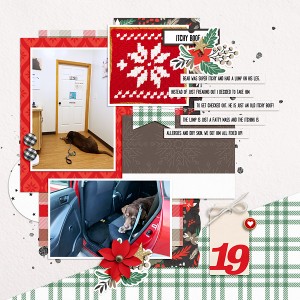 19-DYD2019