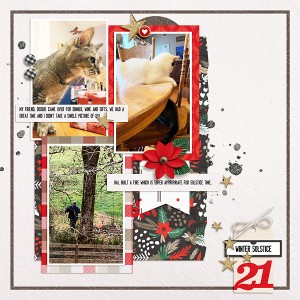 21-DYD2019