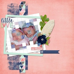 January 5 Grid Photo