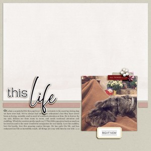 a dog's life