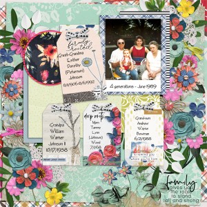 Tw1717-tlp-1-10-20-set Of Altered Tags