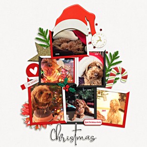 Lola-at-Christmas_MOC8_Jan8web