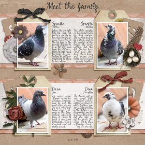 Meet The Family