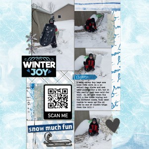 SwL_12_18MISTemp-lbw-collab-snowscape