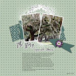 Sahlinstudio_spanish Moss