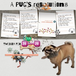 Resolutions
