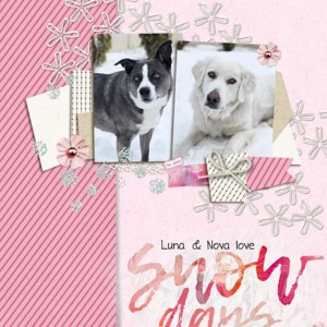 01-20_Luna-Nova-SnowDay
