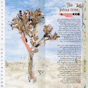 The Joshua Tree
