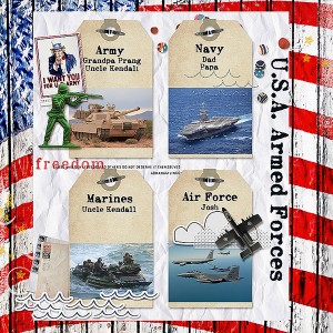 MOC8 Day 10 U.S.A Armed Forces