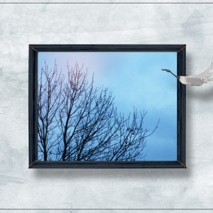 MOC-14_Morning-Sky