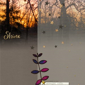 2020-MOC#15_Vellum_web