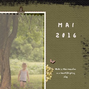 Vellum-Over-Photos-MOC8_Day-15