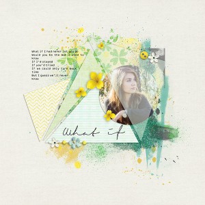 Moc8 #15 Vellum over photos