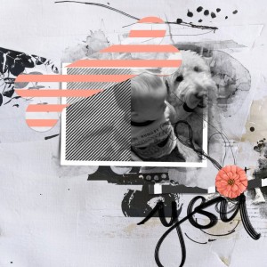 Jan 15 2020 Vellum