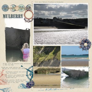 Mulberry