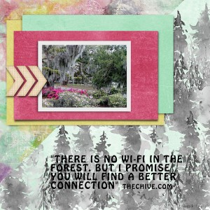 Day 16 - Inspiration From Quotes_forest