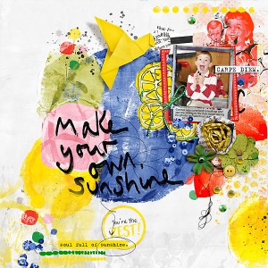 2014-Make-You-Own-Sunshine