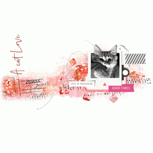A cat love