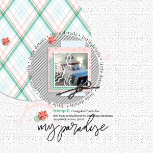 MOC 8 January 15 - Vellum Over Photo