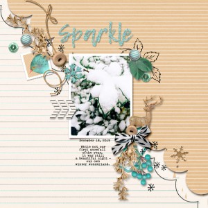 Pink-Reptile-Designs_2020-01_January_Blog-Template-Challenge_web