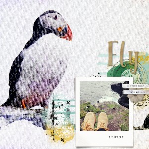 190724_puffins