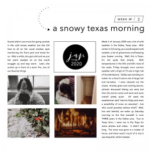 MOC 8-7 A Snowy Texas Morning