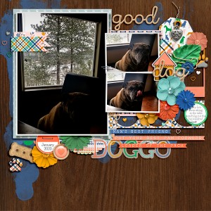 Good Dog Moc14