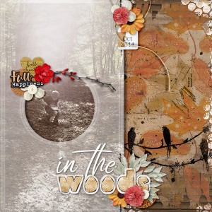 In the woods