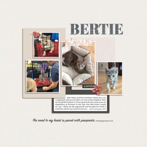 MOC2020 - Day 16: Bertie