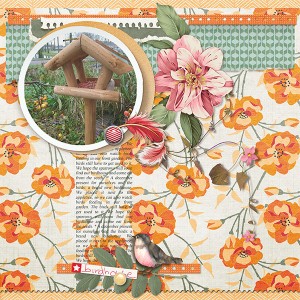 Frutselke_MOC8_06_Birdhouse