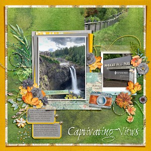 Snoqualmie Falls -Filled in Template