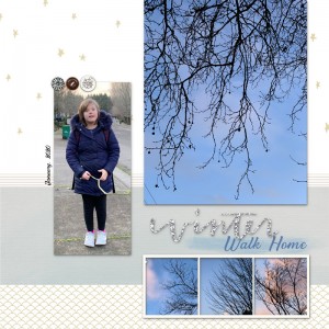 Winter Walk Home 2020 MOC8