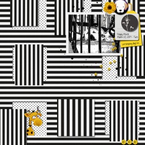 2020-MOC#19_cutouts_web