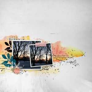 Snippets of Time