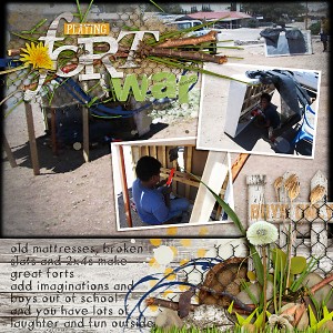21-06152017-fort-wars-copy