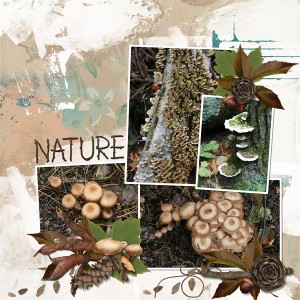 MOC 8 Day 21 Nature