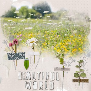 20-01_MOC8-21_organic-botanical-copy
