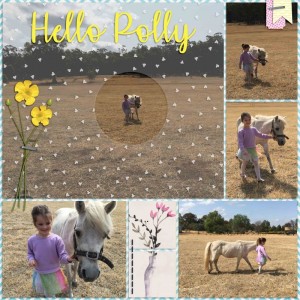 MOC 15 - Vellum Over Photos
