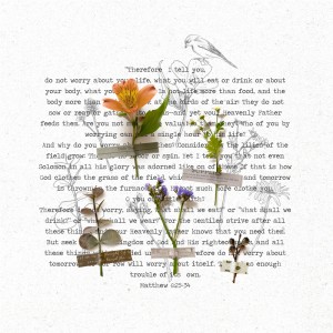 Matthew 6:25-34 - MOC Day 21 - Botanicals